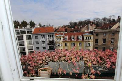 image_3.jpg