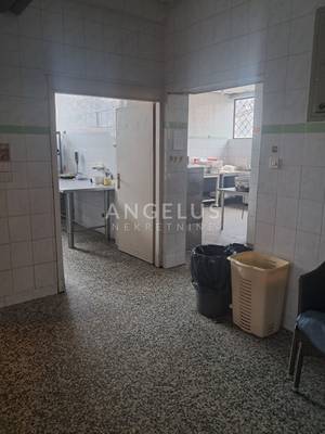 image_3.jpg