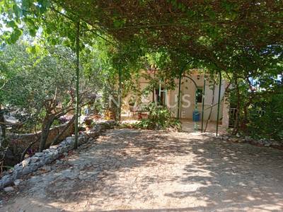 image_4.jpg