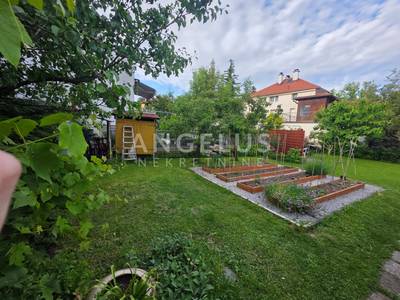 image_4.jpg