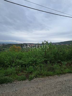 image_1.jpg