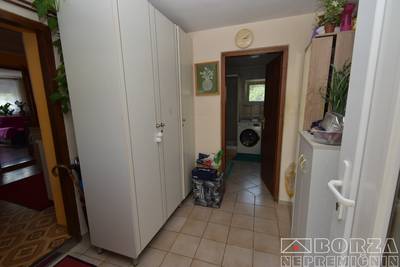image_4.jpg