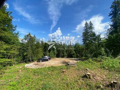 Gorski Kotar, Brod Moravice - EDINSTVENA NALOŽBA – GOZDARSKA HIŠA S PROJEKTOM IN GRADBENO DOVOLJENJE