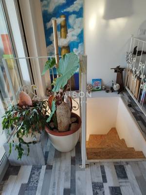 image_6.jpg