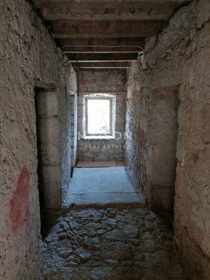 image_7.jpg