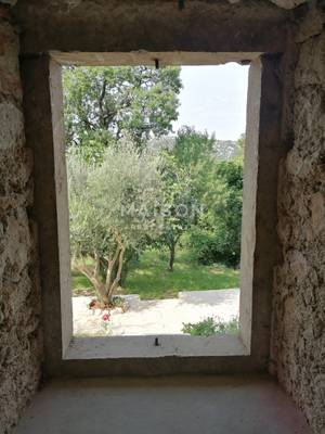 image_4.jpg