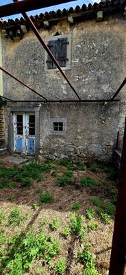 image_1.jpg