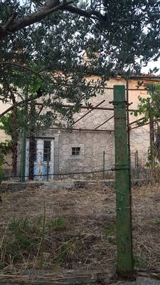 image_4.jpg