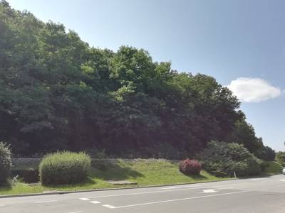 image_1.jpg