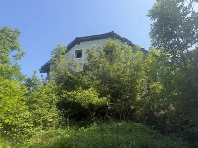 image_1.jpg