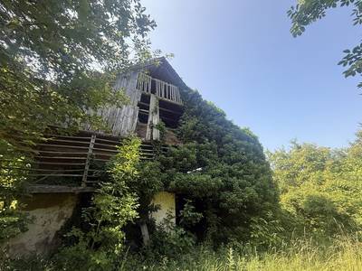 image_4.jpg