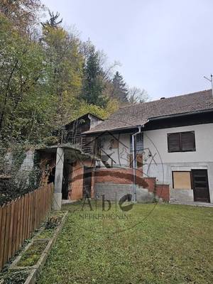 image_3.jpg