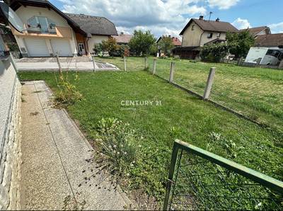 image_3.jpg