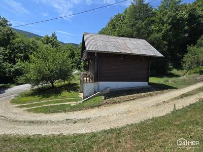 image_4.jpg